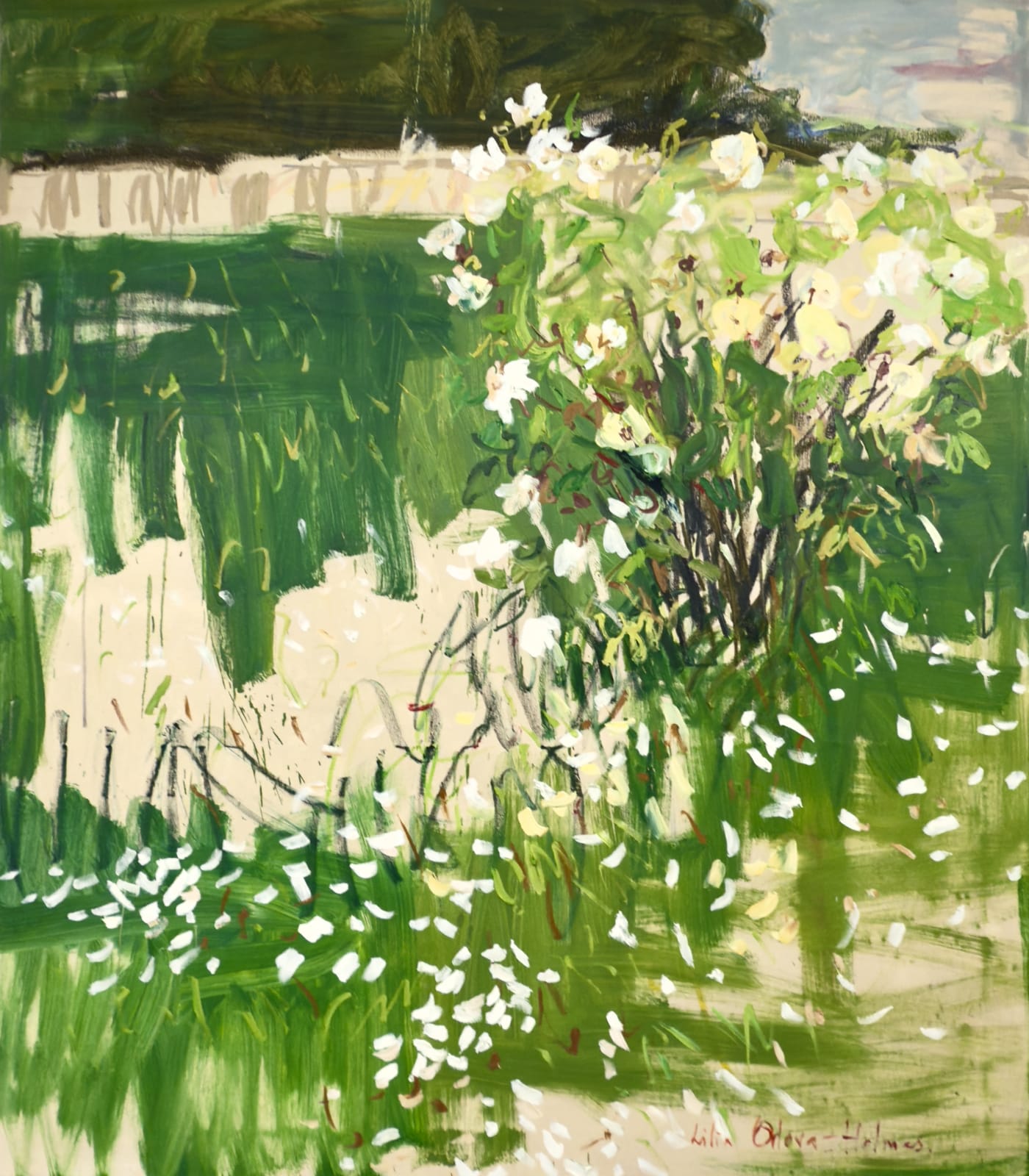 White roses