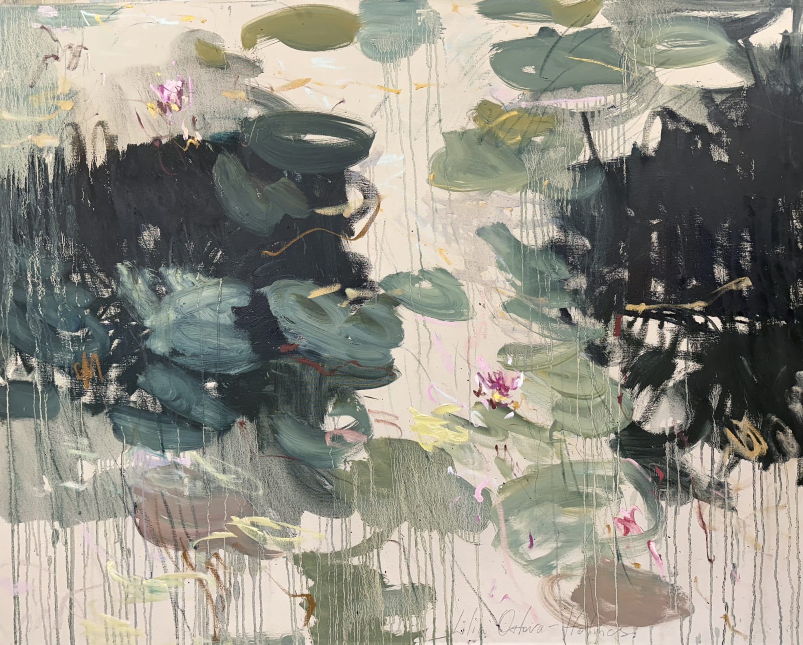 Water lilies