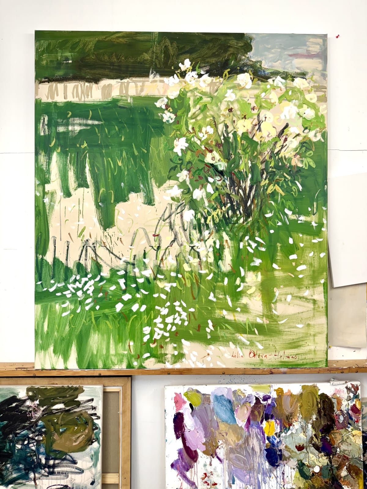 Lilia Orlova-Holmes, White roses, 2025