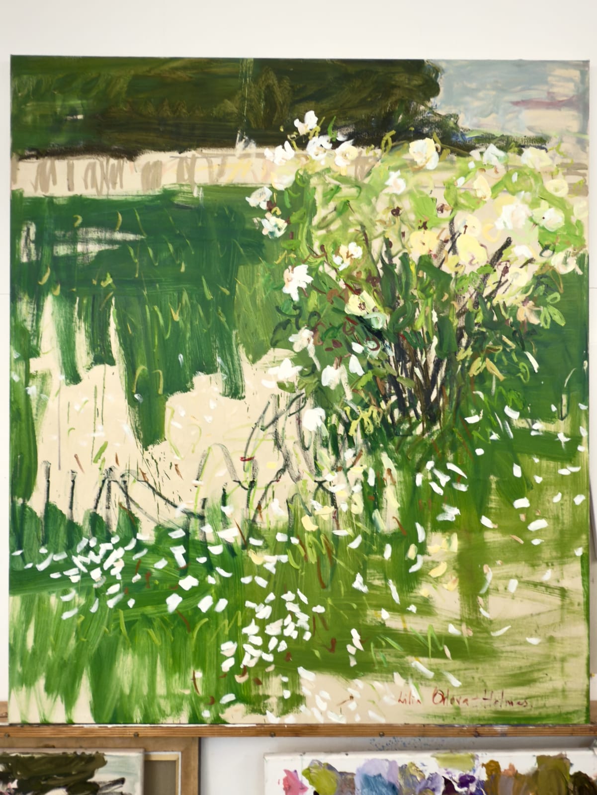 Lilia Orlova-Holmes, White roses, 2025