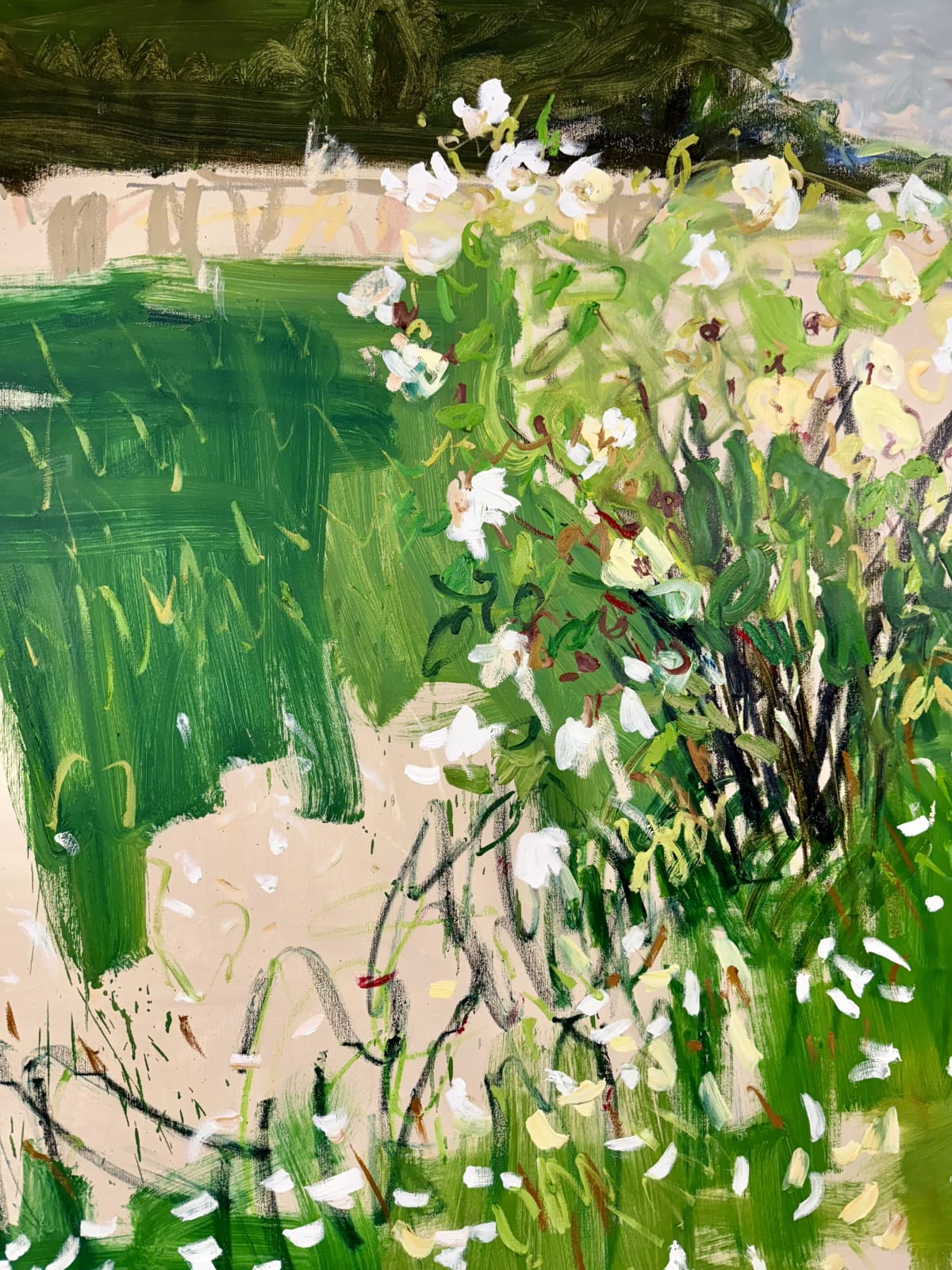 Lilia Orlova-Holmes, White roses, 2025