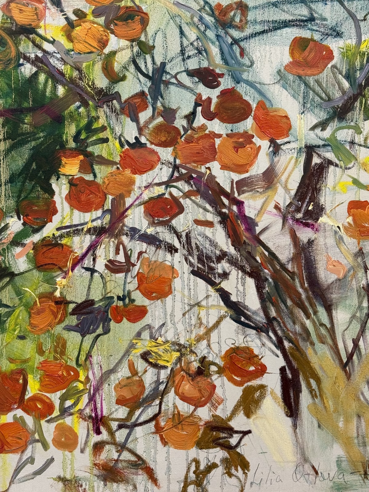 Lilia Orlova-Holmes, Sweet persimmons , 2025