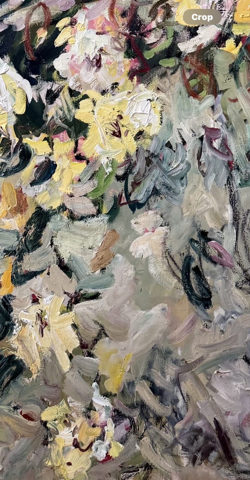 Lilia Orlova-Holmes, Roses, 2025