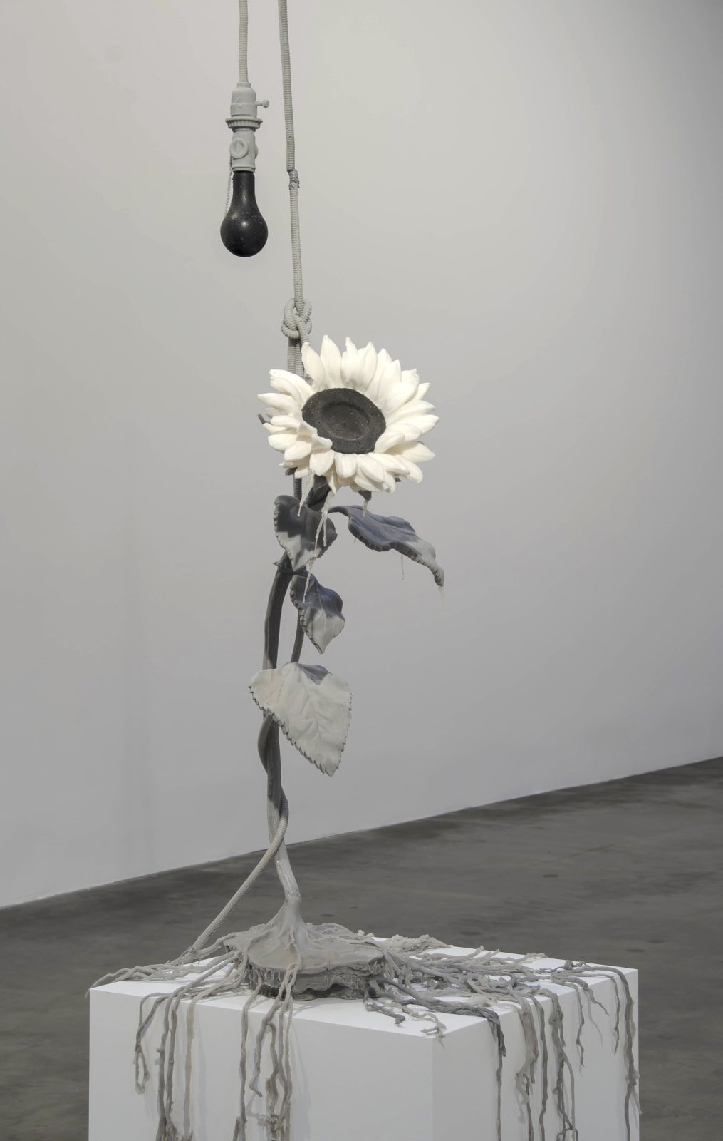 Jeanne Silverthorne, Suicidal Sunflower, 2014