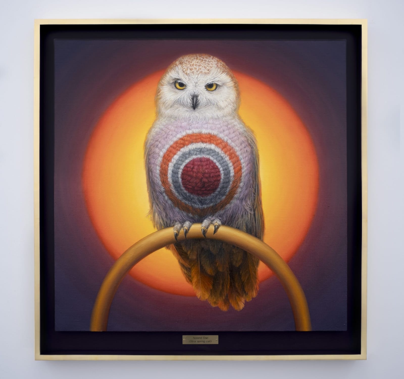 Clive Smith, Noland Owl (Strix spring call), 2022