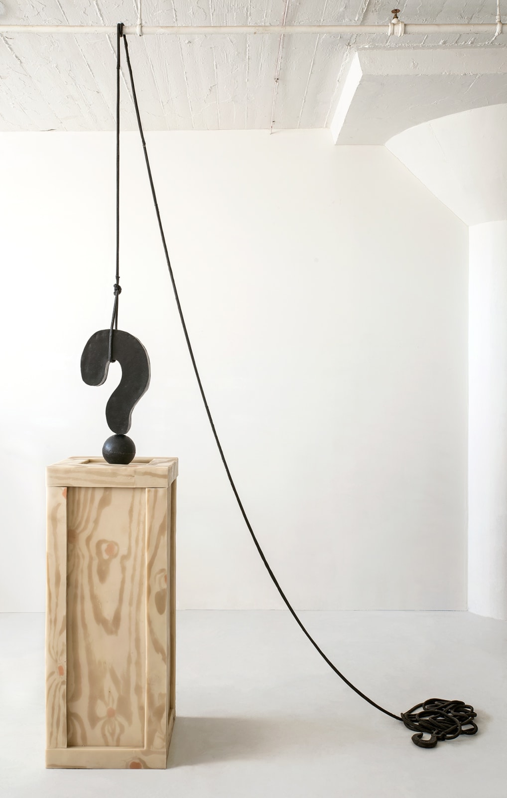 Jeanne Silverthorne, Hanging Question Mark, 2020