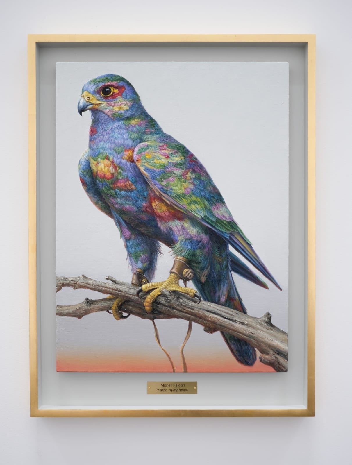 Clive Smith, Monet Falcon (Falco nymphéas), 2021