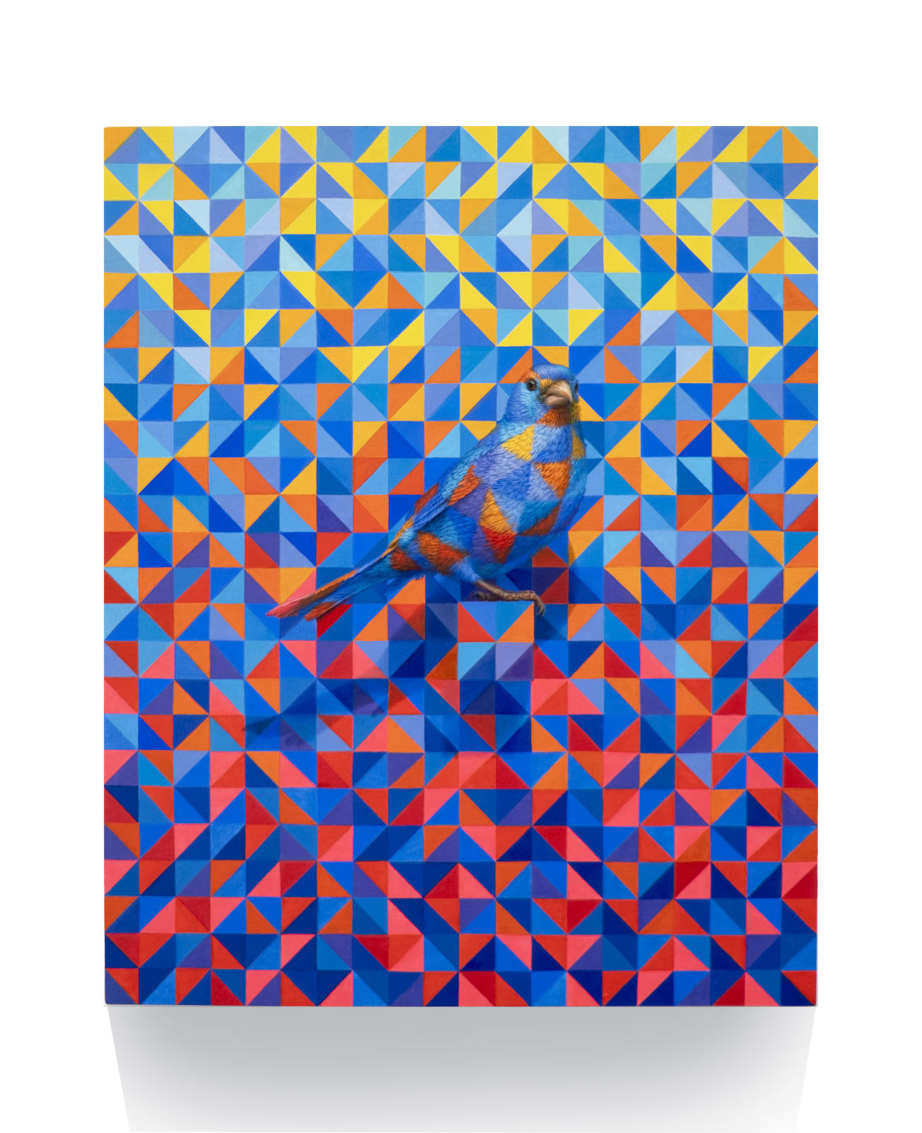 Clive Smith, Pattern Migration Bisected squares, Blues, Yellows, Reds, 2025
