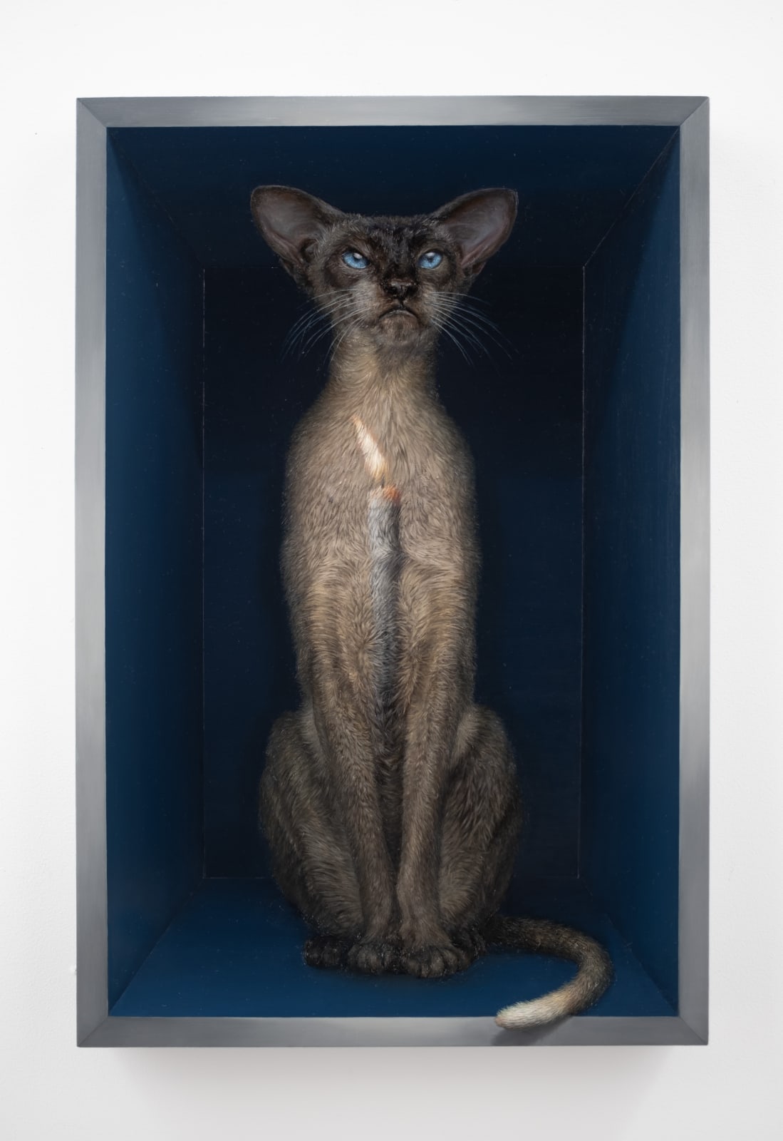 Clive Smith, Richter Cat, 2024