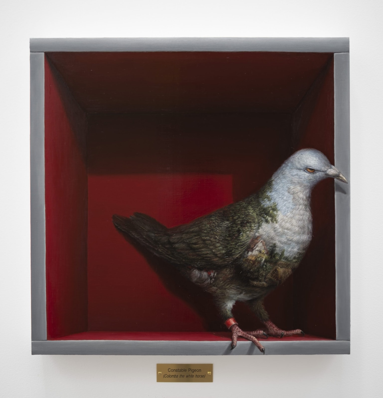 Clive Smith, Constable Pigeon (Colomba the white horse), 2022
