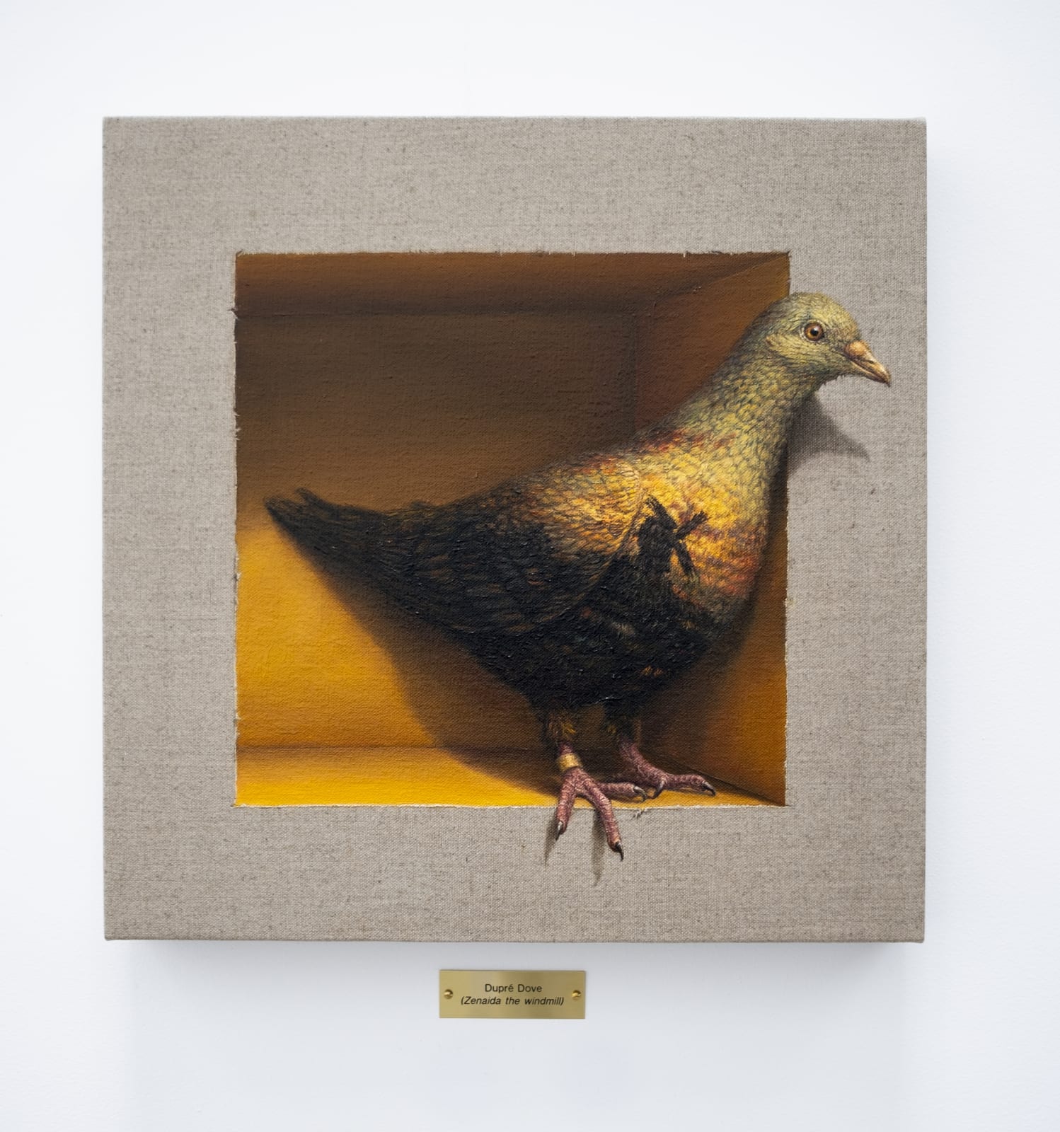 Clive Smith, Dupré Dove (Zenaida the windmill), 2022