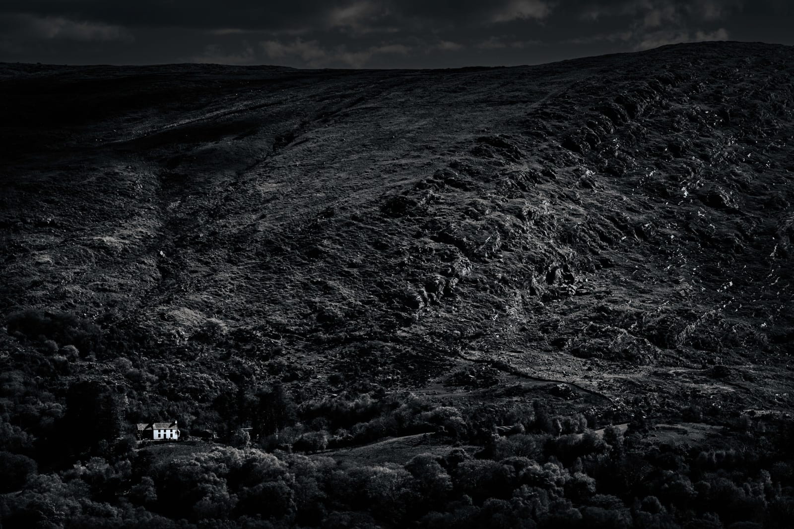 Norman Stevenson, In the Bright Darkenss