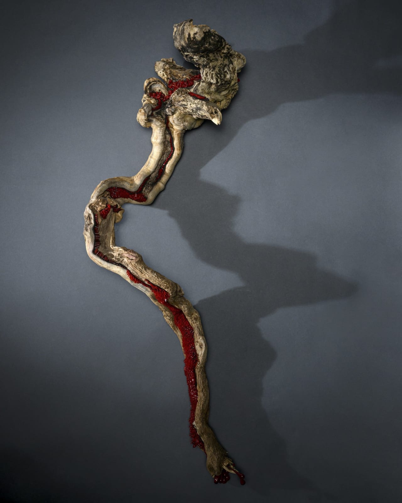 Alison Lowry ARUA, Bloodlines I