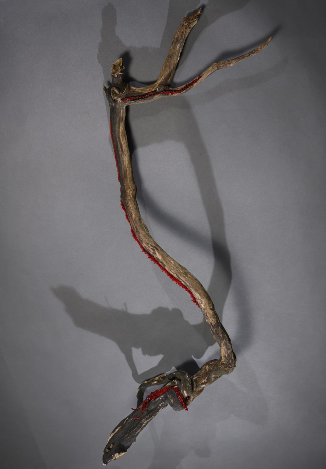 Alison Lowry ARUA, Bloodlines II
