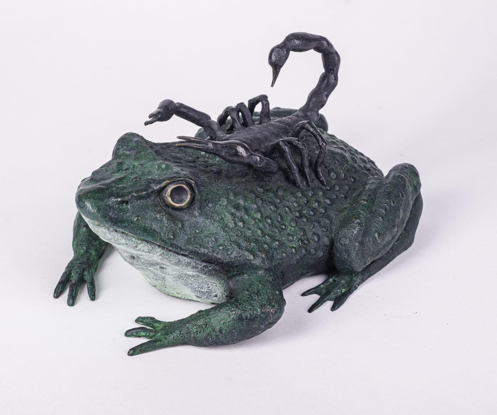 Jessica Checkly, Scorpion and the Frog