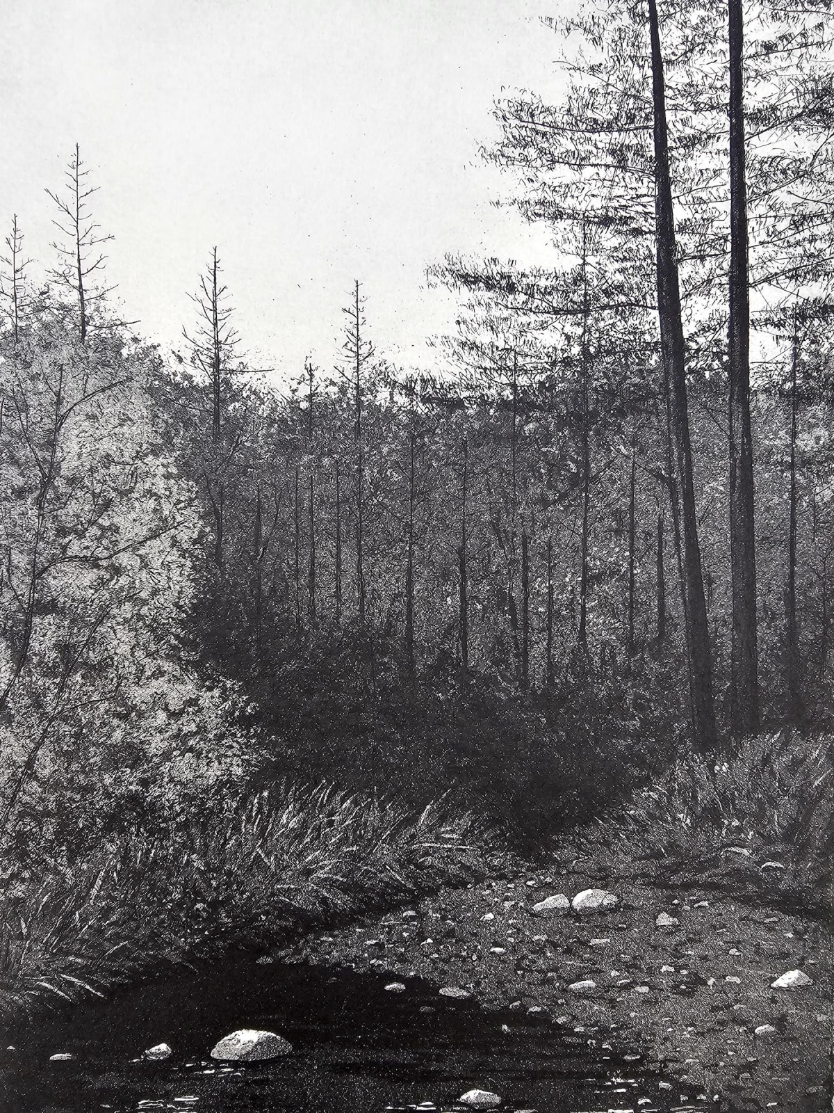 Sarah Lee-Byrne, A Place of Solitude