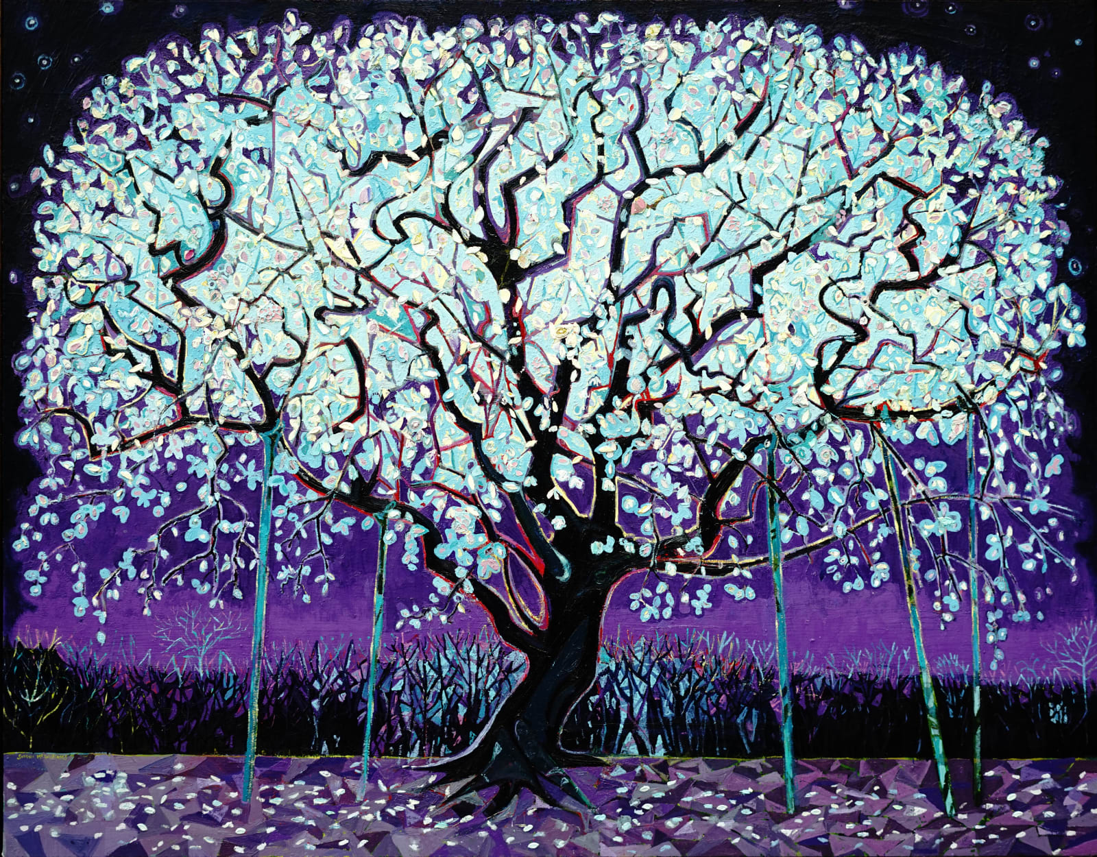 Simon McWilliams, Night Blossom