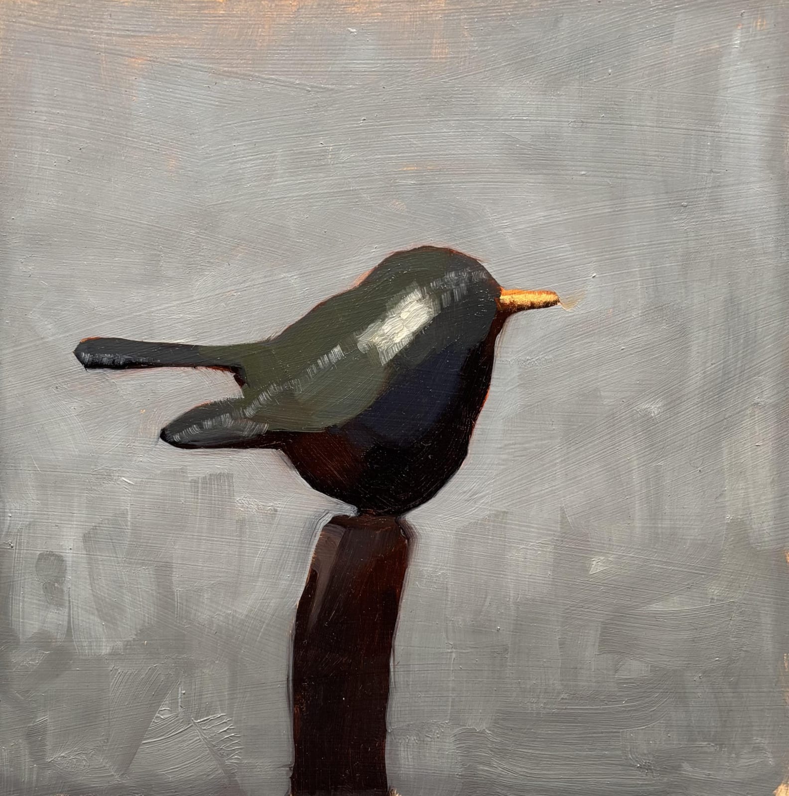 Sheila MacNally, Butlers Blackbird