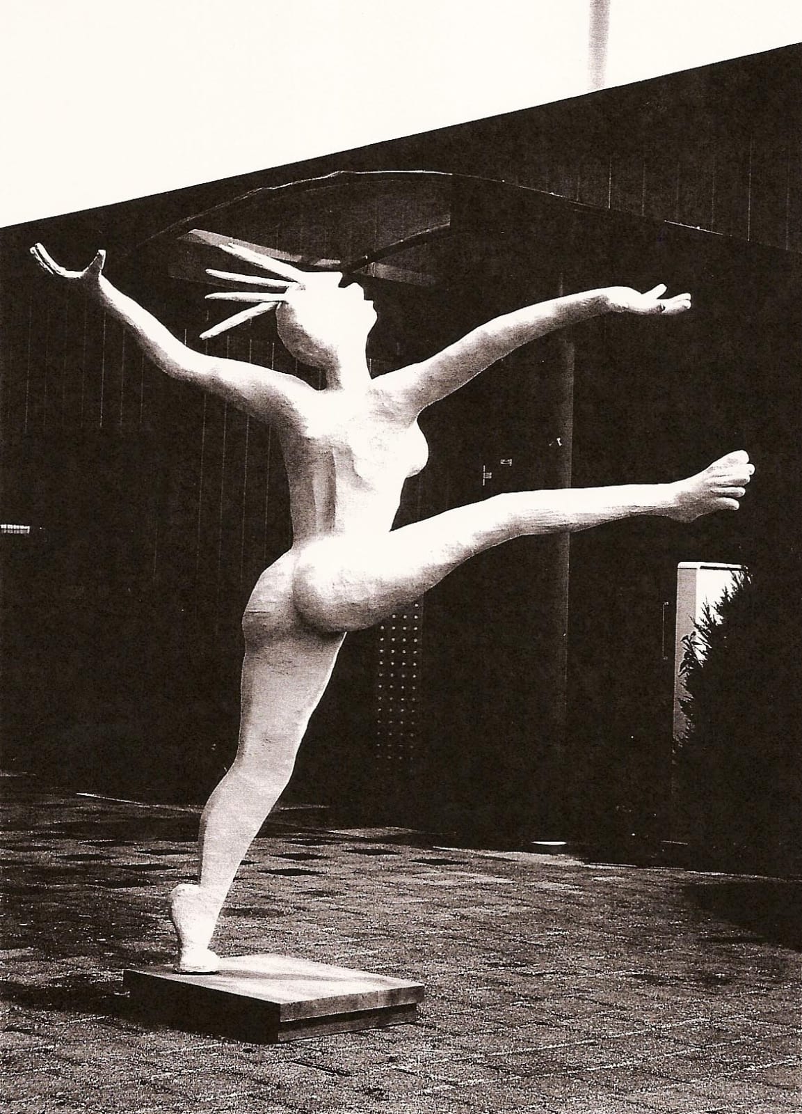 Helgard Zurmuehl, The Jump, 2015