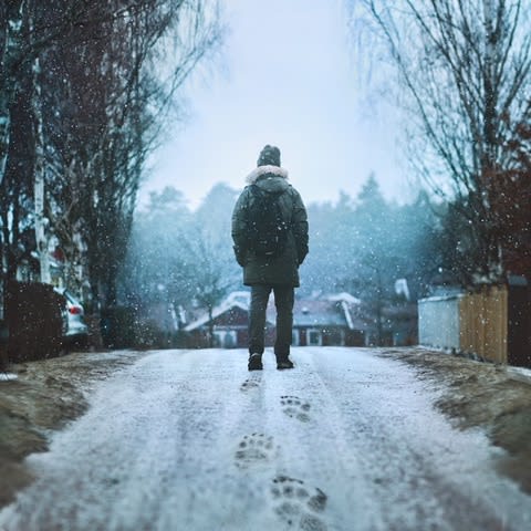 CRISTINA RAMOS, Wild, 2016