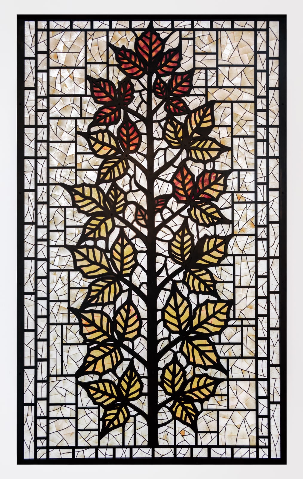 Photo by Promise Callahan