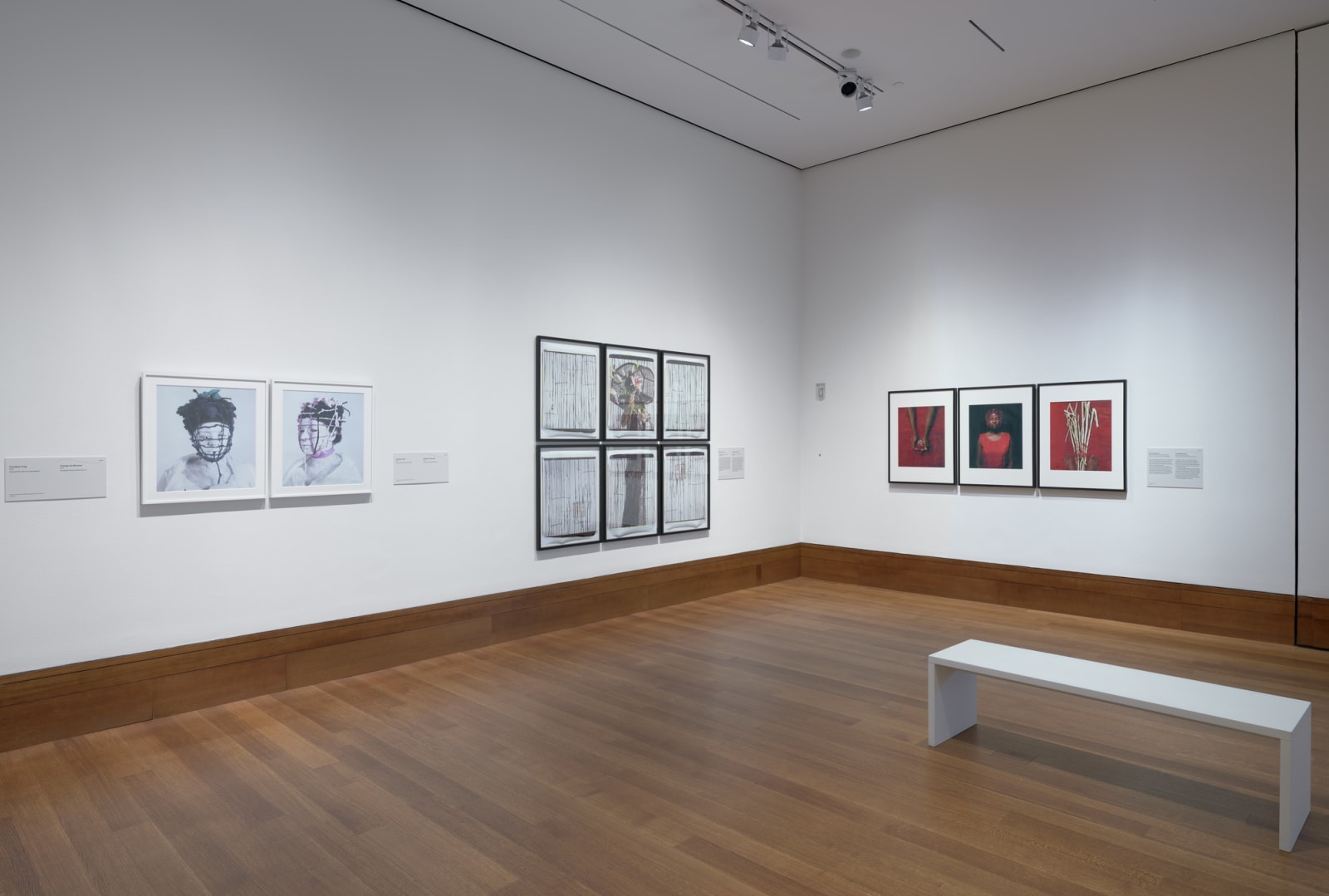 María Magdalena Campos-Pons, Installation view,