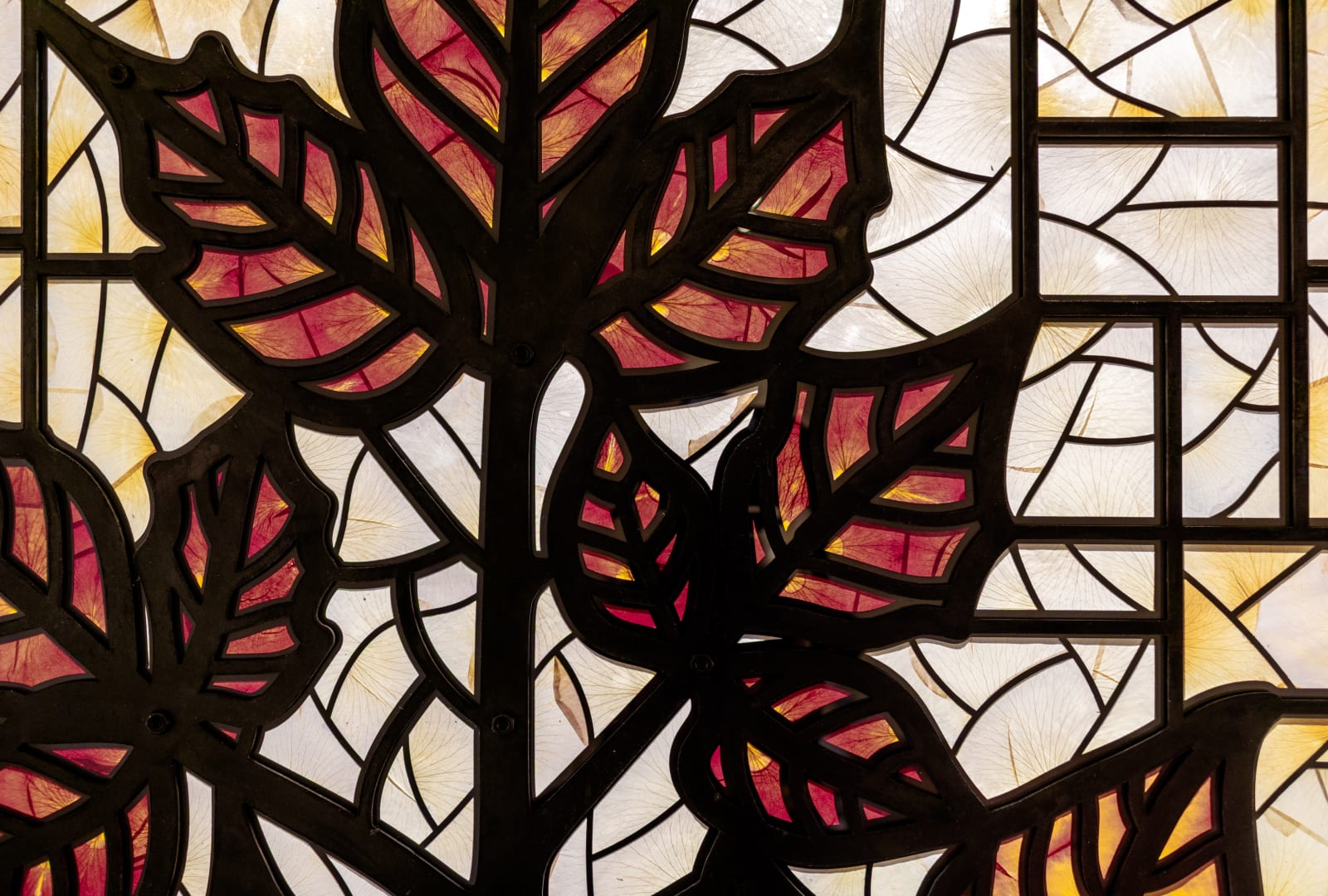 Selva Aparicio, Leaves of Three, Let Me Be, 2025