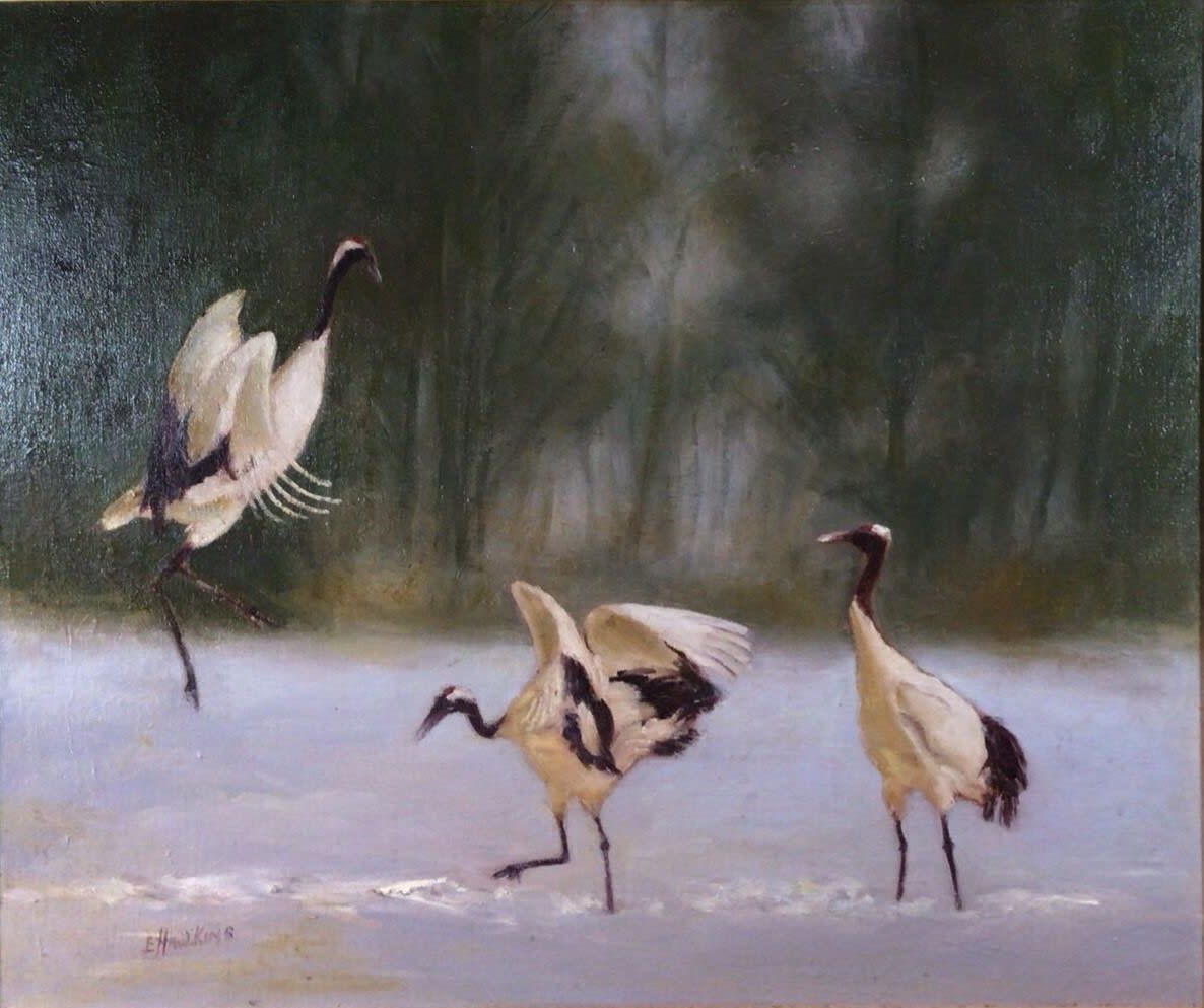 Ibises At play