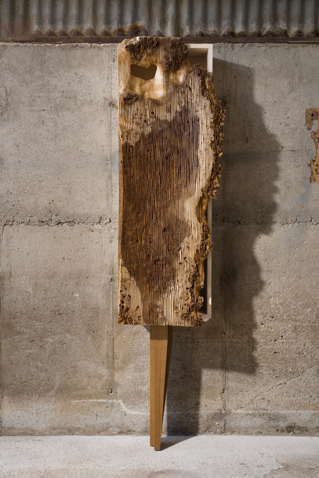 Alan Meredith, Curio Cabinet II, 2023