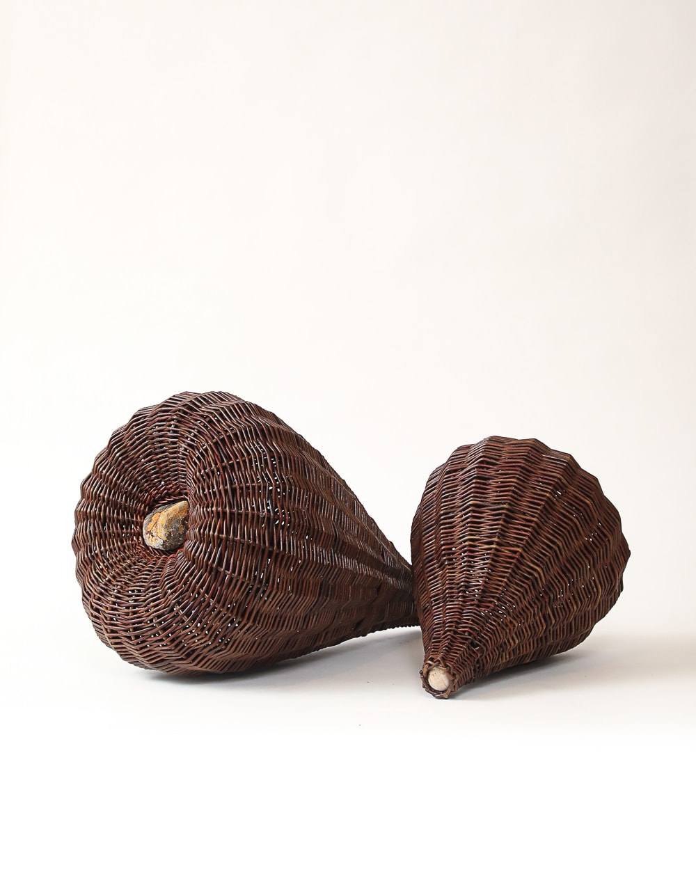 Joe Hogan, Two Reclining Willow Pods With A Lichen-Marked Stone