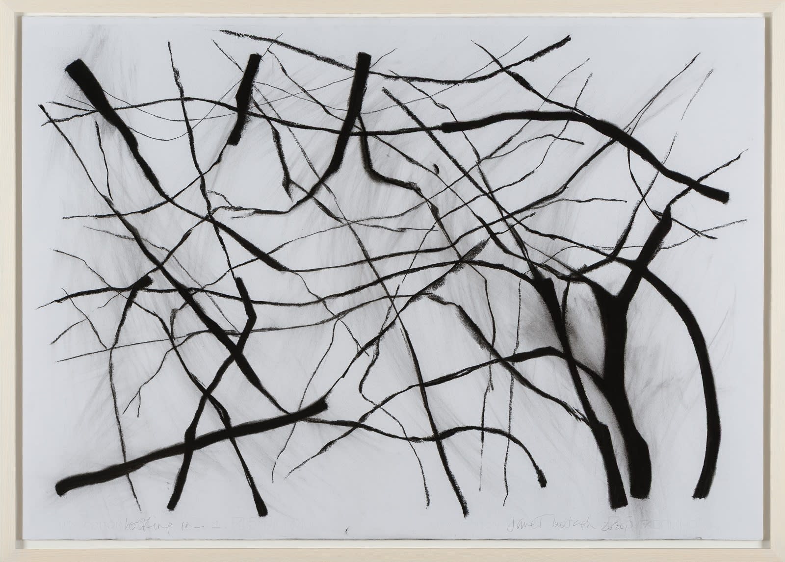 Jane Murtagh, Looking In (2)