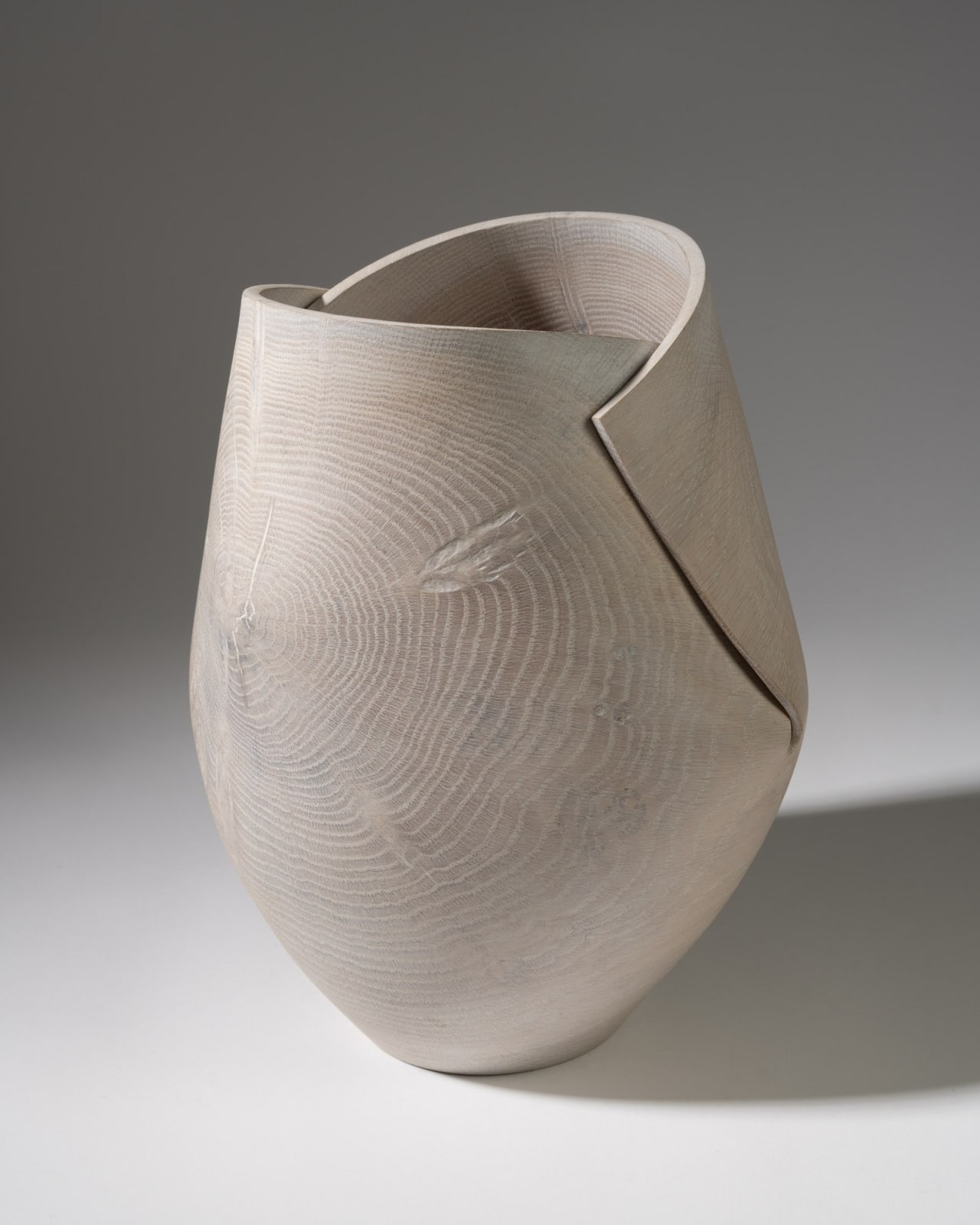 Alan Meredith, Dearcán Bán, 2024