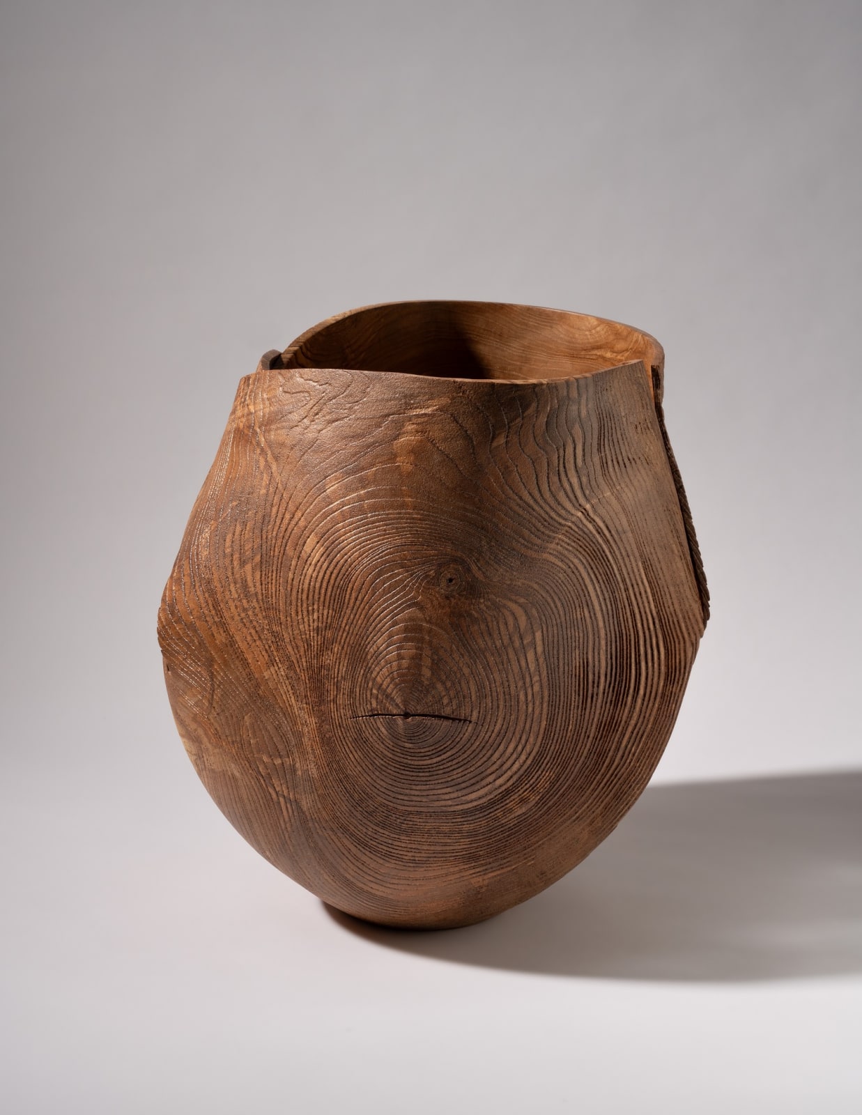 Alan Meredith, Fuinseog I, 2024