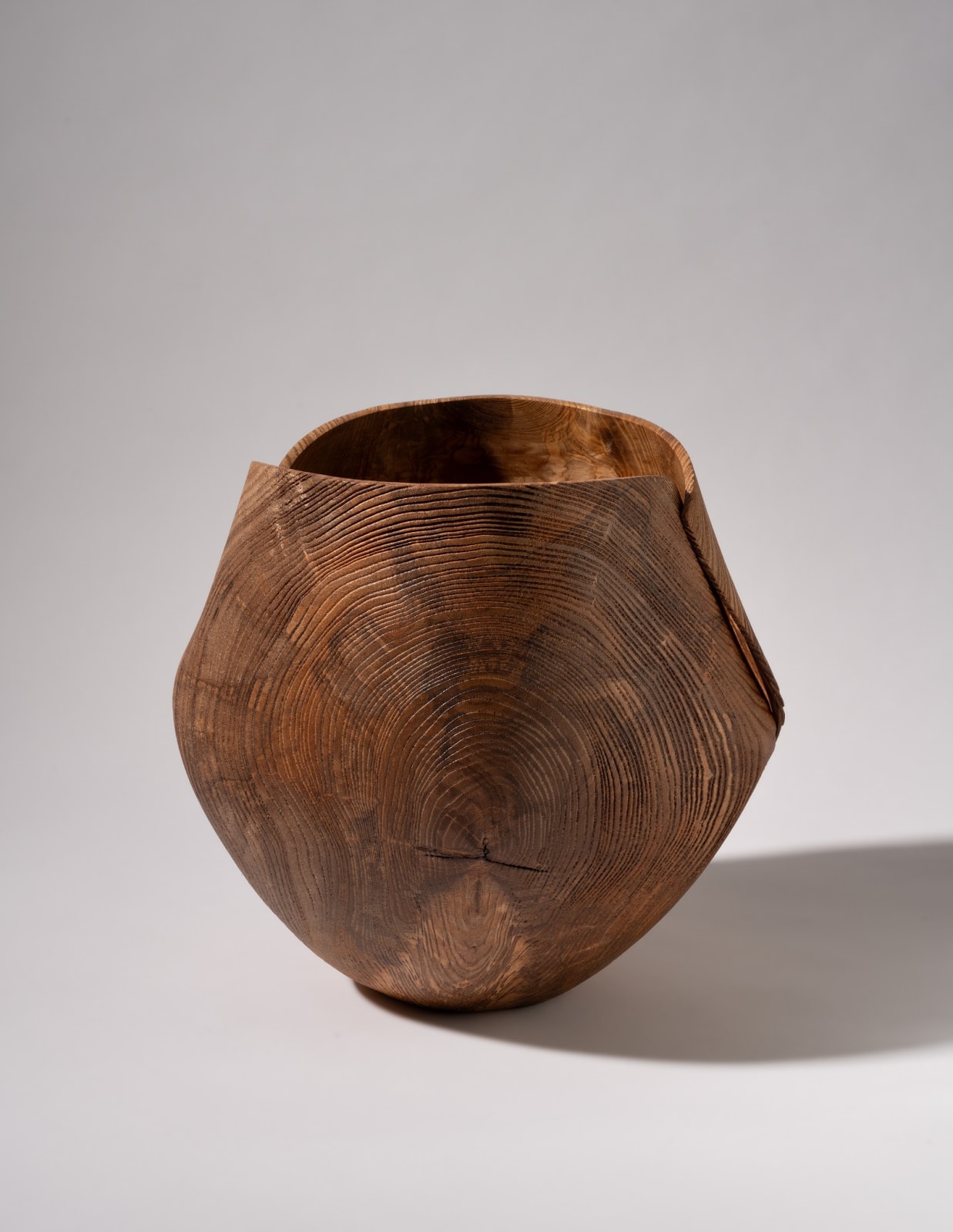 Alan Meredith, Fuinseog III, 2024