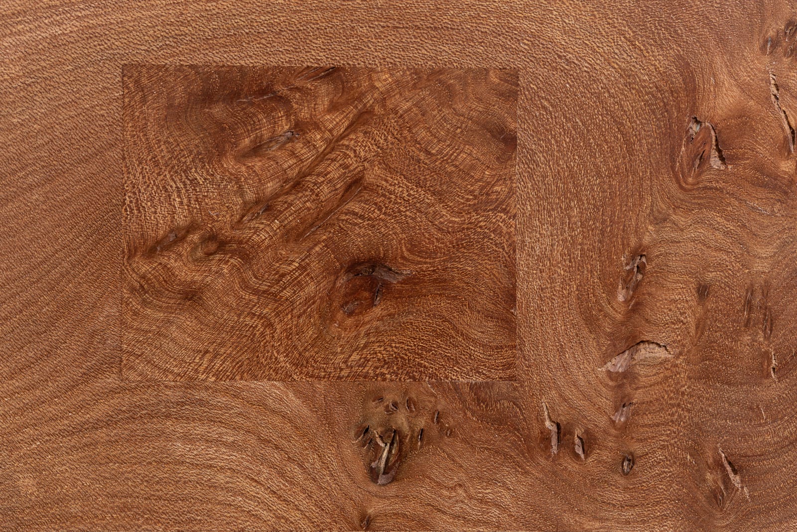 Stevan Hartung, Wych Elm Wall Cabinet