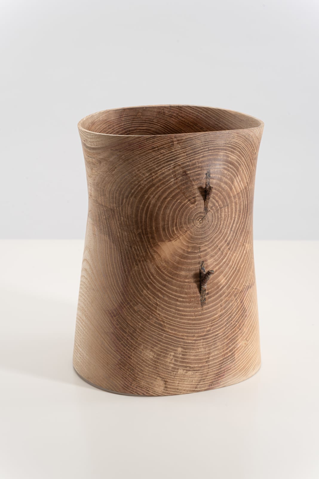 Mark Hanvey, Ash 'Pith' Vessel With Twigs In The Wall