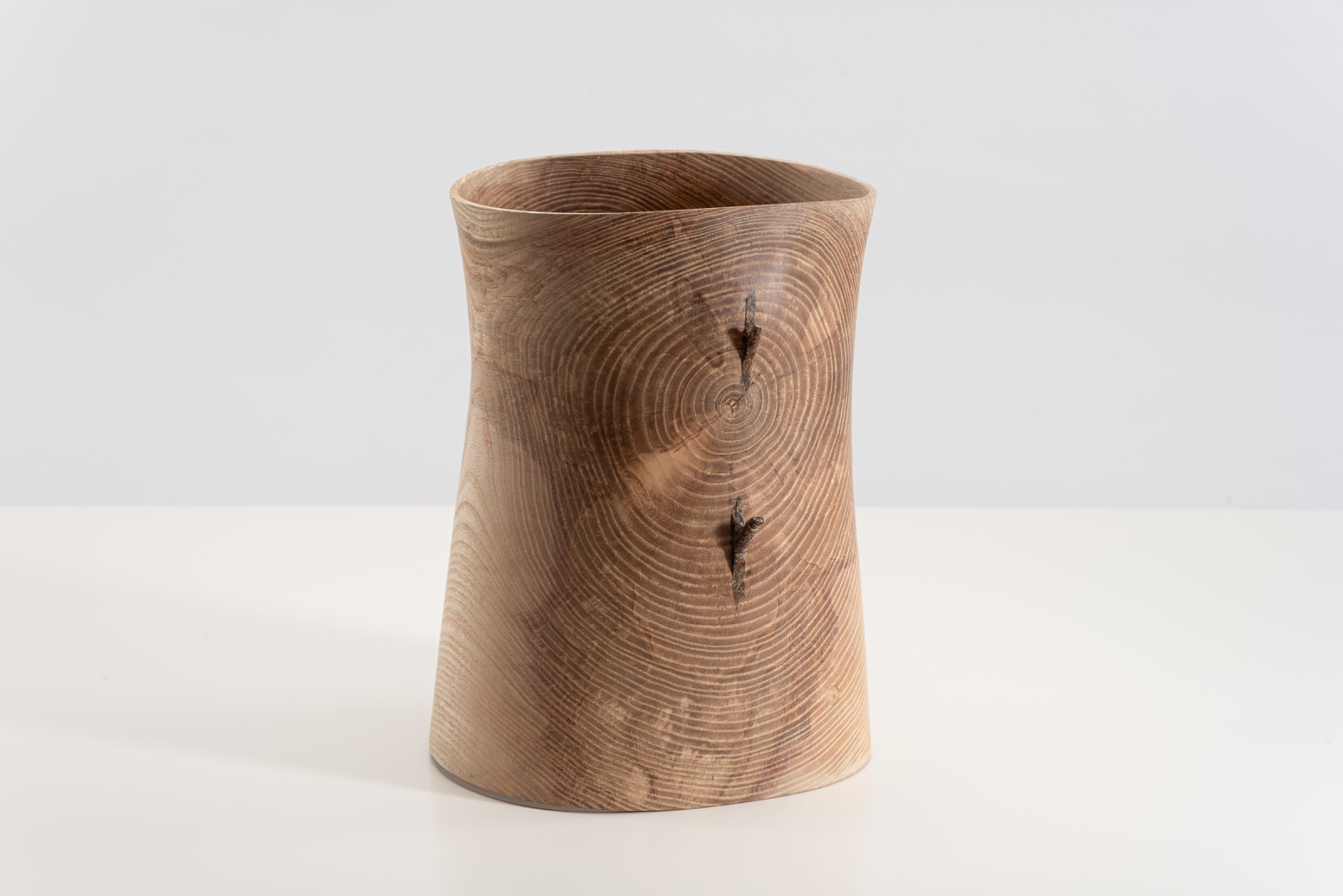 Mark Hanvey, Ash 'Pith' Vessel With Twigs In The Wall