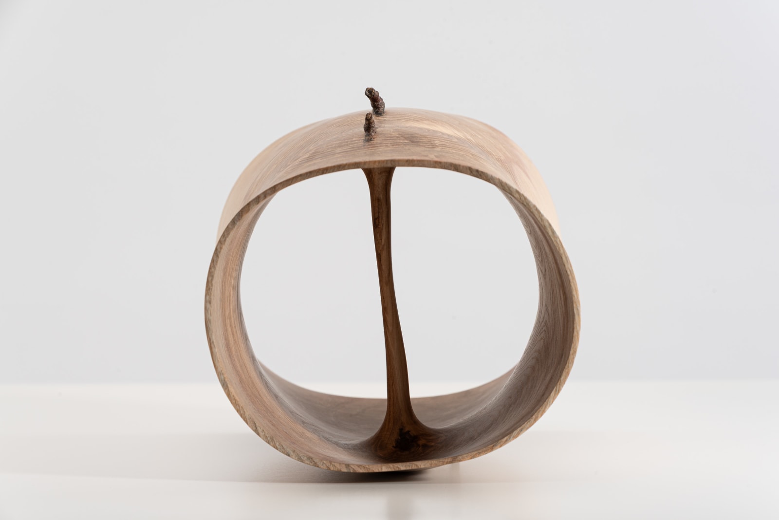 Mark Hanvey, Ash 'Pith' Vessel With Twigs In The Wall