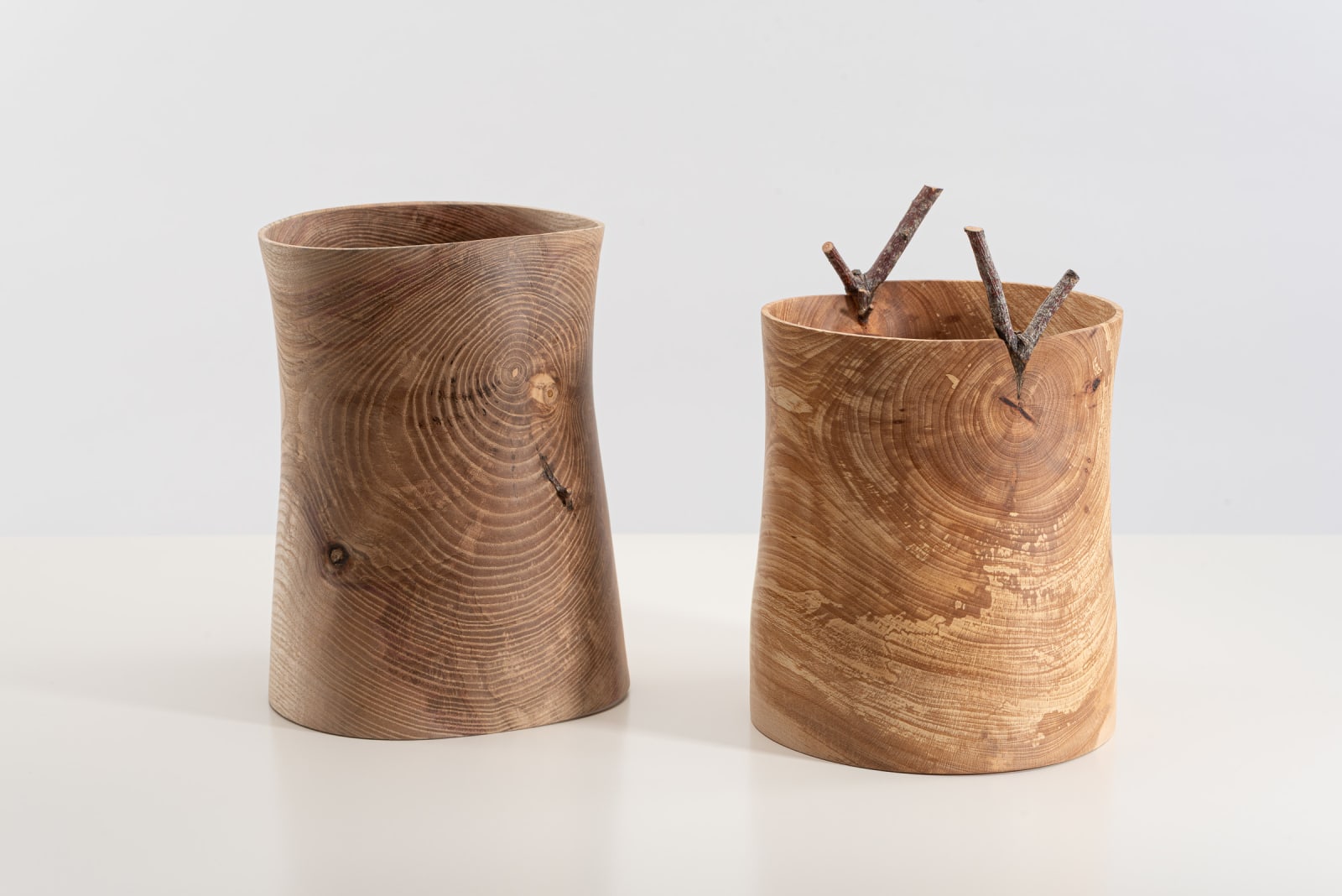 Mark Hanvey, Ash 'Pith' Vessel With Twigs In The Wall