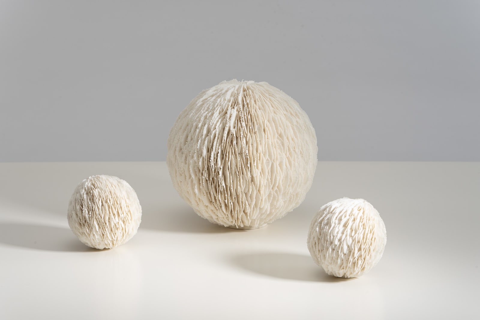 Jennifer Hickey, Seedlings