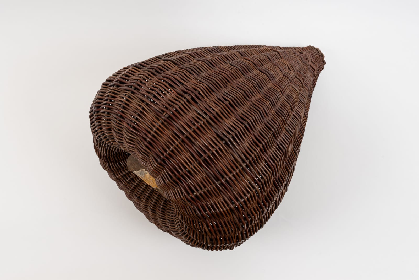 Joe Hogan, Reclining Willow Pod