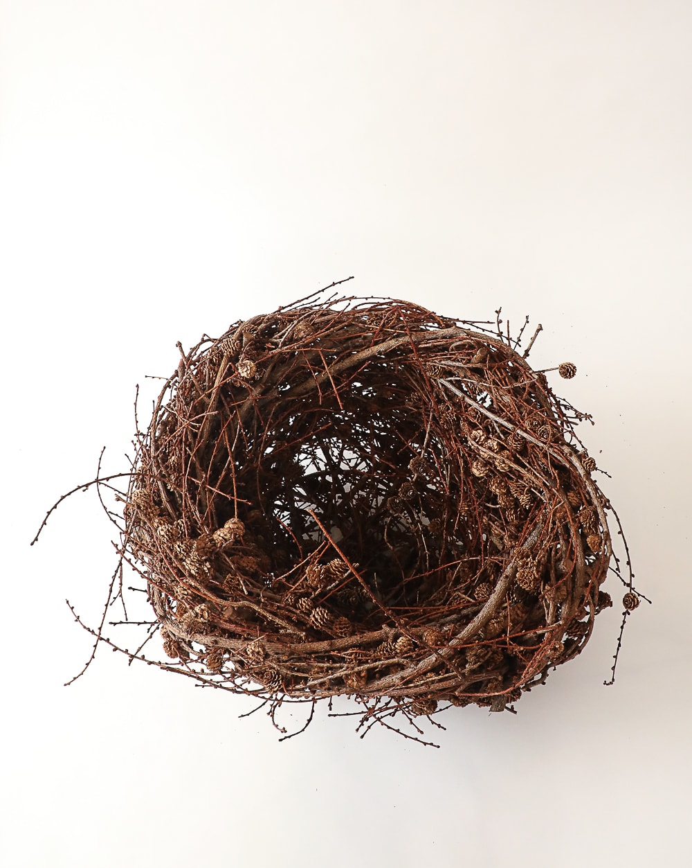Joe Hogan, Large Larch Nest