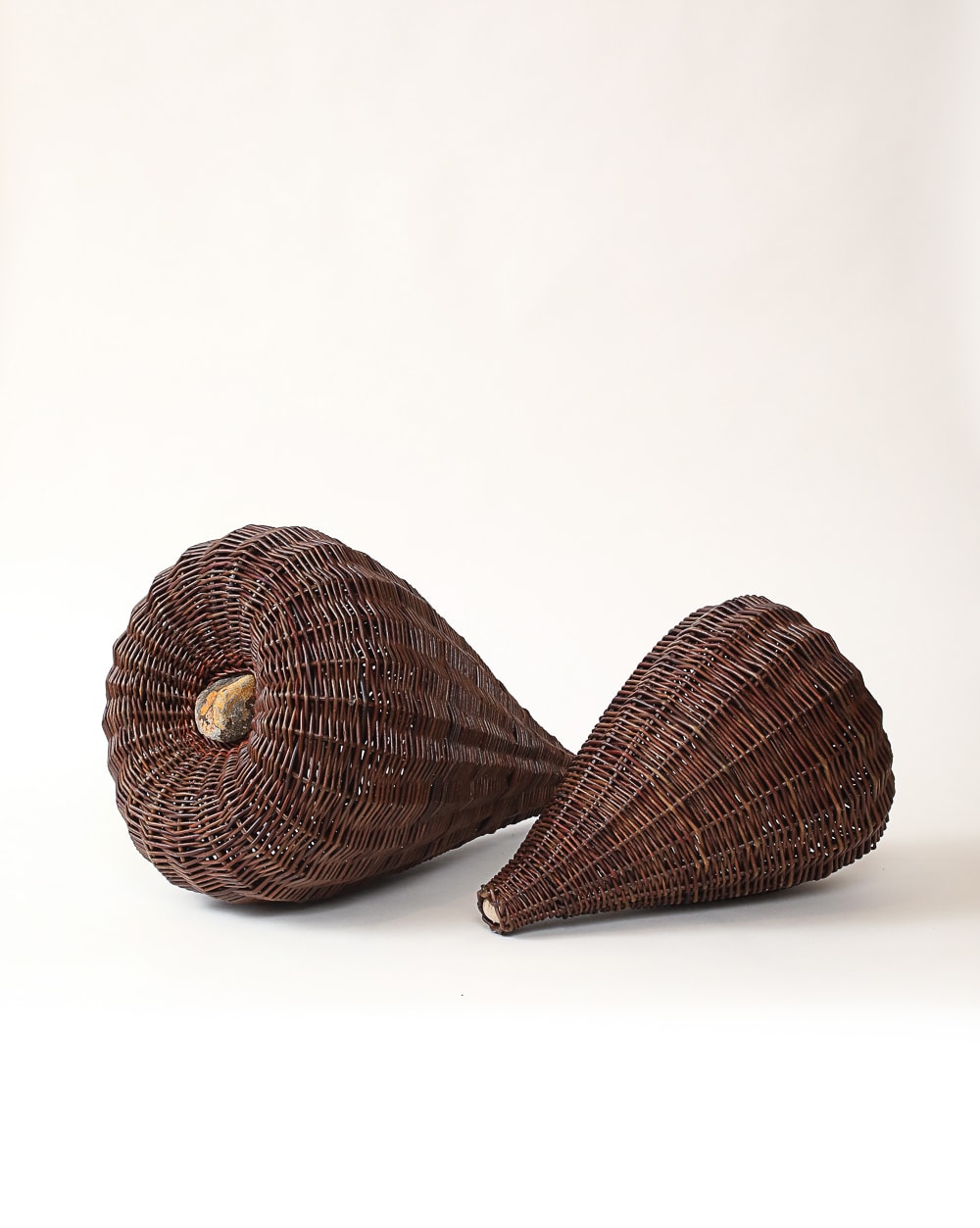 Joe Hogan, Two Reclining Willow Pods With A Lichen-Marked Stone