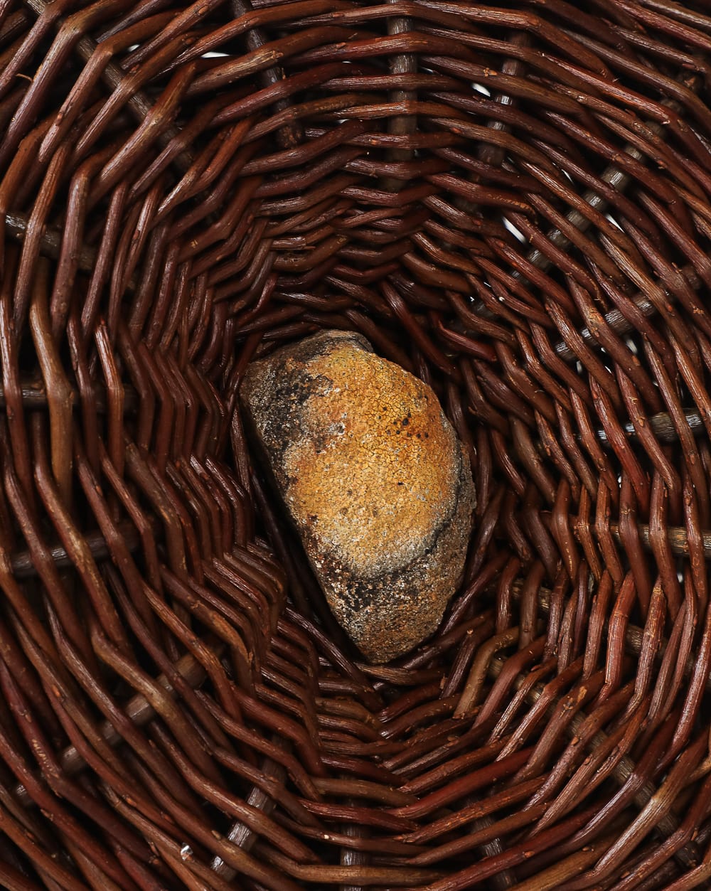 Joe Hogan, Two Reclining Willow Pods With A Lichen-Marked Stone