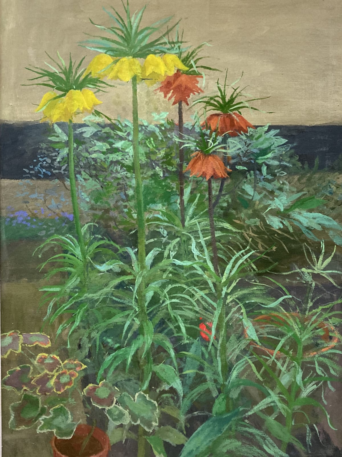 Fred Dubery. ARCA, 'Crown Imperial Fritillaries - Yellow and Orange