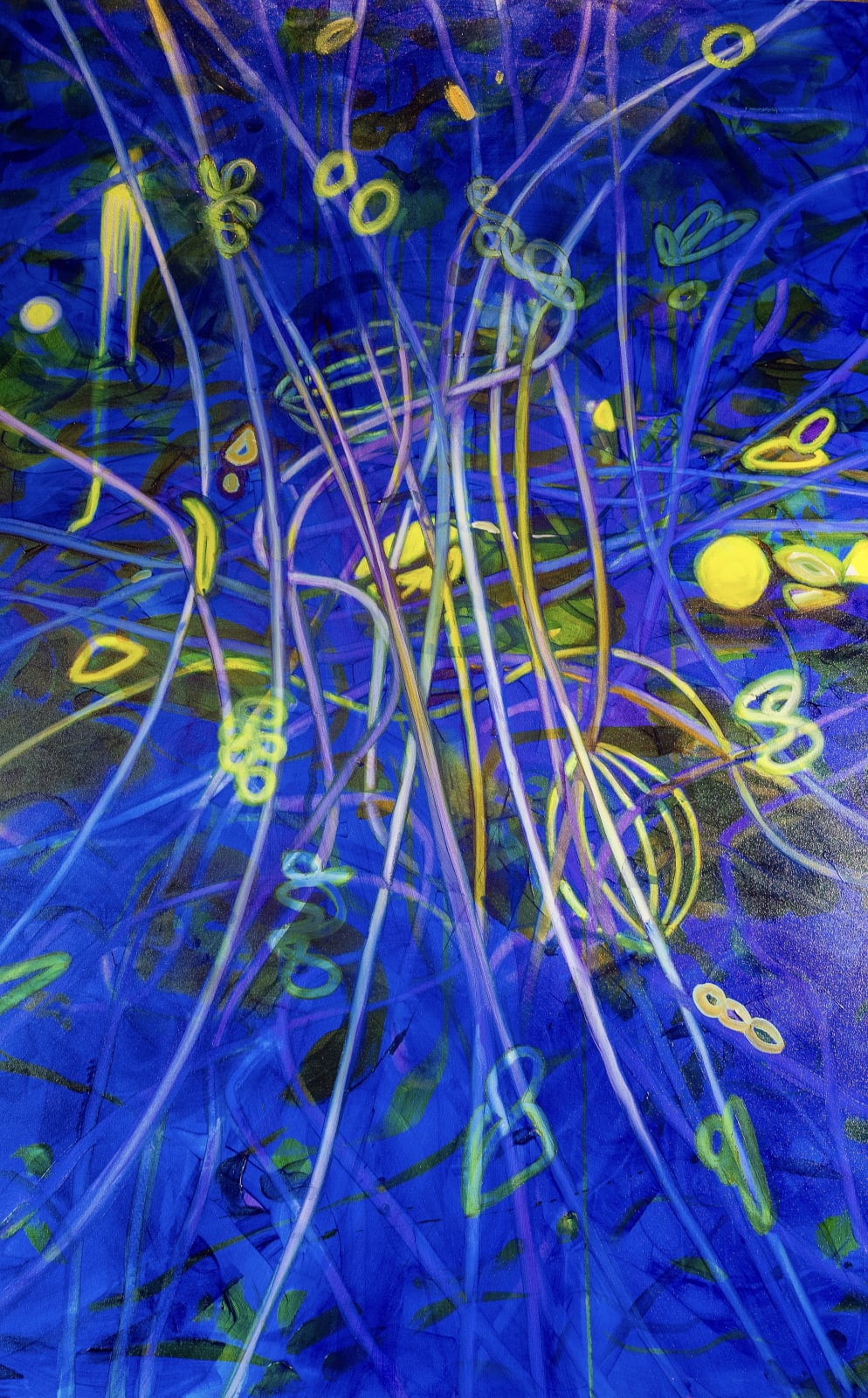 Bullet in the Blue Sky, 2024