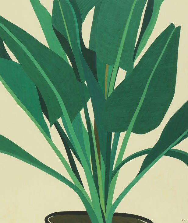 Hyunsoo KIM, Summer tree 여름나무, 2025