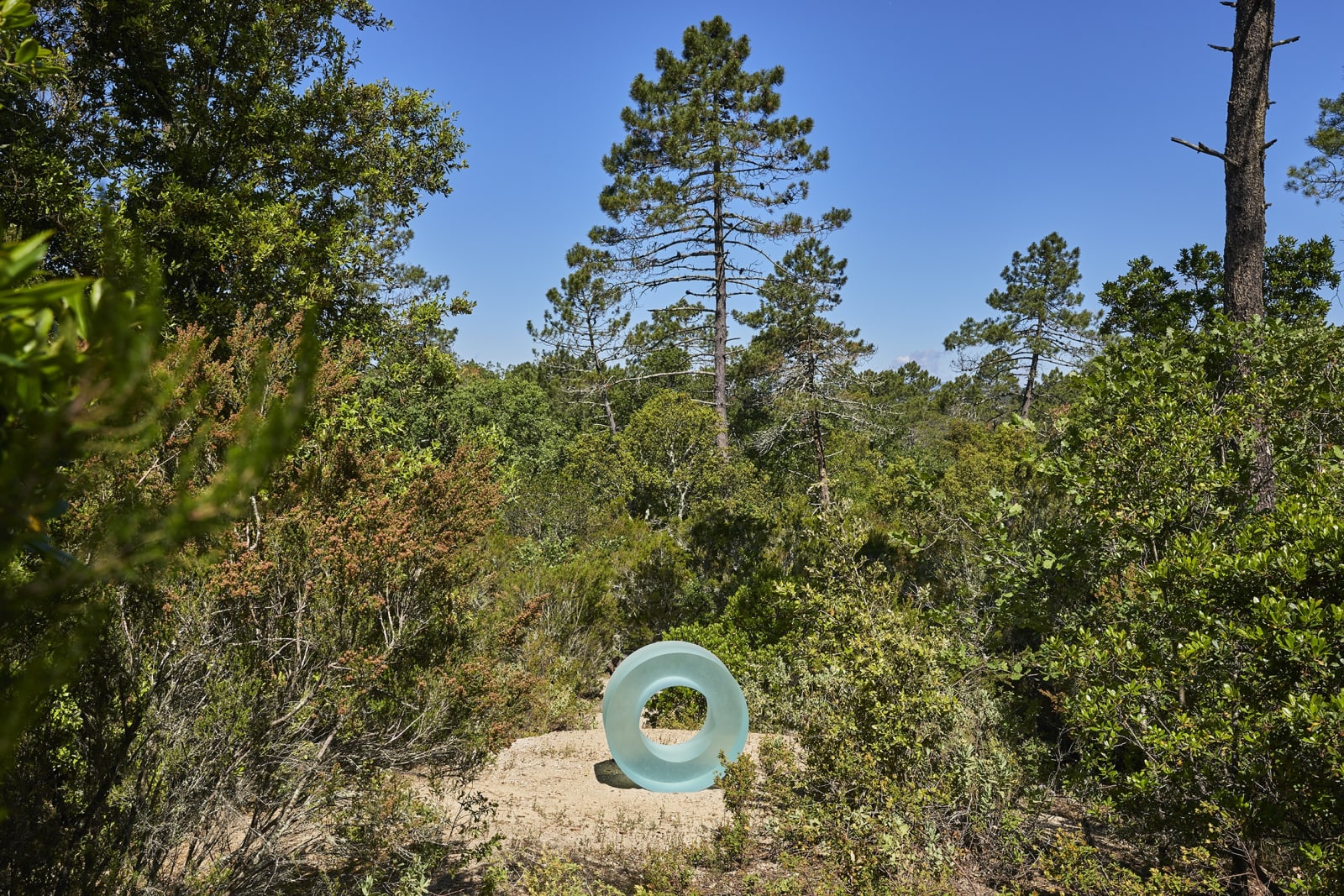 Ann Veronica Janssens, Blue Glass Roll 405/2, 2019
