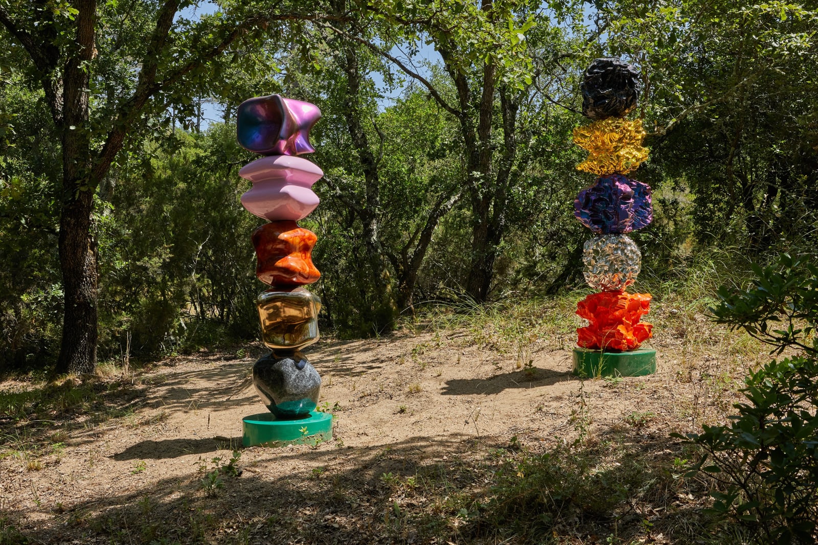 Gary Webb, Cat, 2018