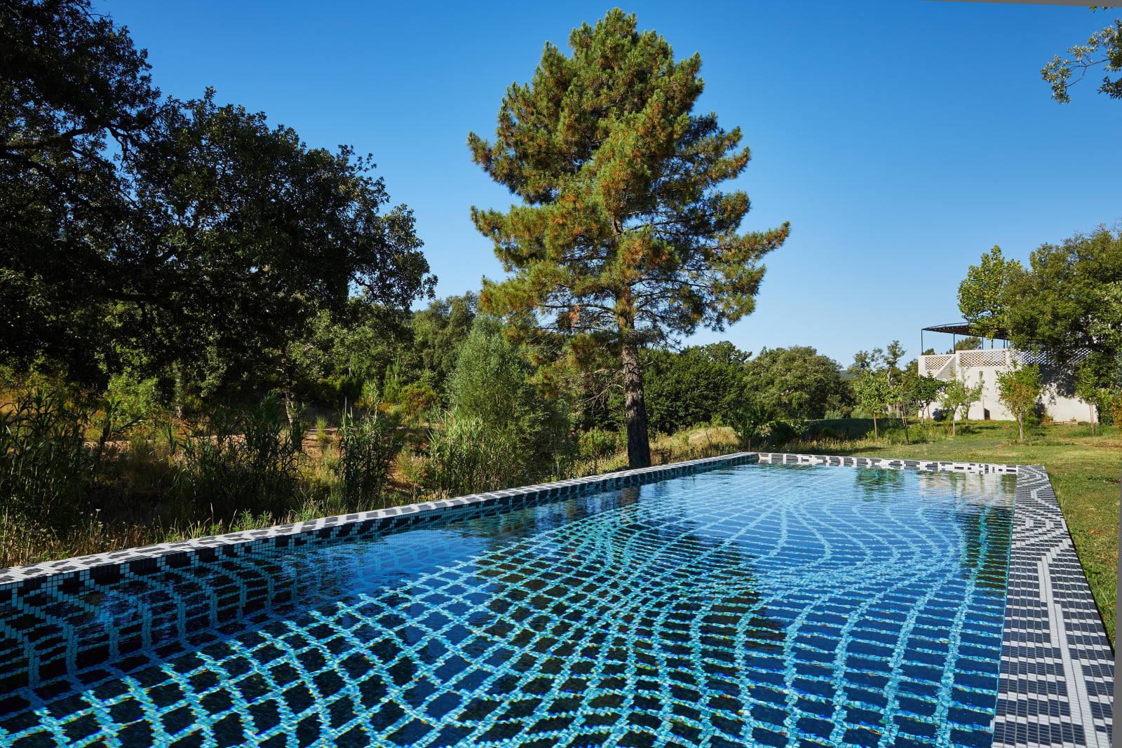 Peter Kogler, Sans titre, 2018